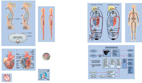 Tauchmedizin_2