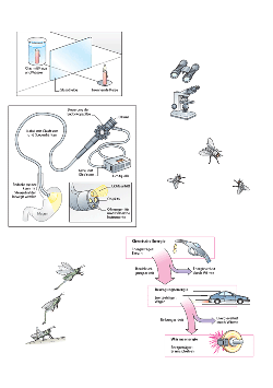 Versuche_Physik