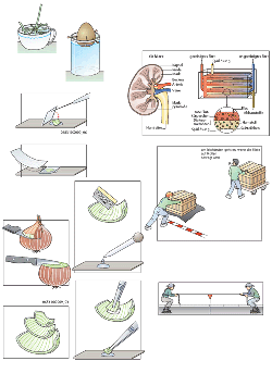 Versuche_Physik